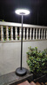 飛利浦平替太陽(yáng)能戶(hù)外燈庭院燈景觀(guān)燈家用別墅花園移動(dòng)感應路燈 2.5米全套55cm-太陽(yáng)能+USB充電（三色調光+遙控+光控） 曬單實(shí)拍圖
