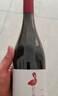 帕斯蒙火烈鳥(niǎo) 智利原瓶原裝進(jìn)口紅酒整箱 經(jīng)典赤霞珠干紅葡萄酒一箱6支*750ml 曬單實(shí)拍圖