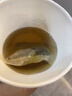 仁和山楂決明子荷葉茶男女體脂搭薏仁陳皮茯苓冬瓜茶刮減去油肚子3盒 曬單實(shí)拍圖