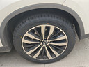 玲瓏輪胎汽車(chē)輪胎215/55R18 99V XL 玲瓏臻選 SD 適配逍客/傳祺GS4/東南DX 曬單實(shí)拍圖