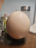 綠田逐新鮮鴕鳥(niǎo)蛋 2.8-3斤左右一枚 送禮盒底座 源頭直發(fā) 曬單實(shí)拍圖