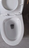 箭牌（ARROW）T51抽水馬桶虹吸坐便器普通座便坐廁 1級水效AE12617UM 305坑距 曬單實(shí)拍圖