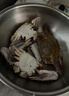 往牧梭子蟹 舟山梭子蟹 當季新蟹大螃蟹 鮮活冷凍 海蟹飛蟹海鮮水產(chǎn) 【肉空包賠】超大約7-9兩/只凈重4斤 曬單實(shí)拍圖