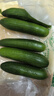 京鮮生 山東水果小黃瓜 凈重5斤單果80g+ 健康輕食 源頭直發(fā) 曬單實(shí)拍圖