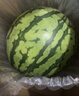 京鮮生 無(wú)籽麒麟西瓜 凈重7-9斤 1粒裝 生鮮水果源頭直發(fā)包郵 曬單實(shí)拍圖