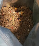 潔西（JESSIE）綜合全階兔糧兔子飼料寵物兔子糧食幼兔成兔垂耳兔 2.8kg 曬單實(shí)拍圖