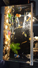 最萌魚(yú)缸新款家用客廳小型觀(guān)賞魚(yú)缸過(guò)濾制氧一體亞克力造景生態(tài)烏龜缸 天鵝白40X20.5X22.5【裸缸+水晶半蓋】 曬單實(shí)拍圖