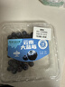 云南高山大藍莓500g 18mm 曬單實(shí)拍圖