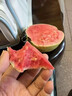 京鮮生廣西軟糯紅心芭樂(lè ) 凈重3斤 單果130g起 番石榴 新鮮水果源頭直發(fā) 曬單實(shí)拍圖