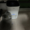 美的（Midea）家用寵物空氣凈化器 吸貓毛除過(guò)敏源貓貓搭子貓毛凈化器殺菌消毒除貓狗異味小怪獸PET500 曬單實(shí)拍圖