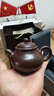 藏壺天下小容量宜興紫砂壺純手工茶具紫茄泥一人用茶壺潘壺 曬單實(shí)拍圖