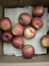 京鮮生 云南昭通丑蘋(píng)果 凈重9斤裝 單果130g起 生鮮水果 曬單實(shí)拍圖