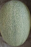 京鮮生 海南哈密瓜西州蜜/西周蜜 3-4粒 10斤起 生鮮水果禮盒 曬單實(shí)拍圖