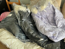 洗衣服務(wù) 衣鞋4件任洗 羽絨服/運動(dòng)鞋等 去漬熨燙 免費取送 衣鞋任洗 4件 曬單實(shí)拍圖