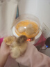 種蛋受精蛋可孵化散養農家土雞蛋笨雞蛋柴雞蛋青腳紅瑤孵小雞代發(fā) 5枚 曬單實(shí)拍圖
