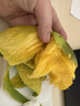 沐小七果蔬正宗金煌芒果【閃送-多地次日達】海南新鮮水果青皮芒果水果禮盒 9斤【家庭暢享-超值裝】?jì)?.5斤 優(yōu)選果【單果300g+】越大越甜*店長(cháng)力薦 曬單實(shí)拍圖
