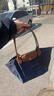 瓏驤（LONGCHAMP）奢侈品女包LE PLIAGE系列手提單肩餃子包L2605089P68 海軍藍 中號 曬單實(shí)拍圖