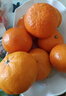 正宗廣西砂糖橘沙糖桔新鮮水果當季蜜桔桂林橘子貢柑整箱 帶箱1斤 小果（30-40mm） 曬單實(shí)拍圖
