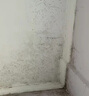 雅藝生態(tài)霉立凈墻體除霉劑家用多功能除霉清潔劑墻壁霉菌去除防霉神器 500ml*1瓶 曬單實(shí)拍圖