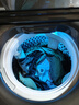 小天鵝（LittleSwan）波輪洗衣機全自動(dòng)國家補貼家用10公斤小烏梅2.0水魔方變頻防纏繞 一級能效 后控觸屏護腰 以舊換新 【小烏梅2.0標準版】超微凈泡+凈漬洗去污升級 波輪 曬單實(shí)拍圖