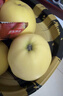京覓 遼寧大連黃元帥蘋(píng)果凈重8.7斤單果80-85mm黃金帥水果源頭直發(fā) 曬單實(shí)拍圖