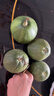 （霖錦）超便宜山東當季綠寶甜瓜單果250g+山東沈陽(yáng)倉隨機發(fā) 帶箱約3斤，凈果2.6斤 曬單實(shí)拍圖