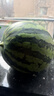 京鮮生 無(wú)籽麒麟大西瓜 1粒裝 凈重7-9斤 生鮮水果 曬單實(shí)拍圖