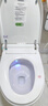 小米米妮系列智能馬桶一體機紫外線(xiàn)殺菌即熱全自動(dòng)沖洗靜音加熱烘干坐便器 m1s高配版-自動(dòng)翻蓋-帶水箱 250/300/350/400/坑距 下單備注 曬單實(shí)拍圖