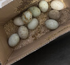 耕果妙農家雜糧散養新鮮鴨蛋自然放養現撿現發(fā)咸蛋黃咸鴨蛋專(zhuān)用破損包賠 【試吃款】鮮鴨蛋10枚1.2斤 曬單實(shí)拍圖