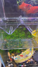坤寧王*魚(yú)缸隔離盒孔雀魚(yú)繁殖盒鸚鵡魚(yú)斗魚(yú)小魚(yú)苗產(chǎn)卵孵化盒懸浮式小號 曬單實(shí)拍圖