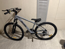 喜德盛（xds）山地自行車(chē)26款旭日310運動(dòng)健身學(xué)生青少年成人騎行變速輕便單車(chē) 26款旭日310巖石灰15.5寸 曬單實(shí)拍圖