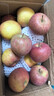 高西溝山地蘋(píng)果正宗云南高原山地蘋(píng)果麻皮蘋(píng)果應季糖心蘋(píng)果新鮮 10斤 80mm【含】-85mm【不含) 曬單實(shí)拍圖