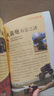 少年探索發(fā)現（12冊）恐龍+兵器+動(dòng)物+宇宙+地球+人類(lèi)+自然+科學(xué)+外星人與UFO+寶藏+世界+海洋之謎 青少年版百科全書(shū)兒童版十萬(wàn)個(gè)為什么世界未解之謎大全集 曬單實(shí)拍圖