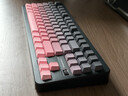 邁從（MCHOSE）G87 V2旋鈕無(wú)線(xiàn)機械鍵盤(pán)電競游戲客制化有線(xiàn)/藍牙三模87鍵配列g(shù)asket結構全鍵熱插拔筆記本辦公 G87 V2 黑莓粉漸變側刻 快金軸 曬單實(shí)拍圖