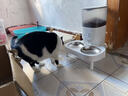 霍曼（Homerun）寵物智能自動(dòng)喂食器貓糧定時(shí)貓咪自動(dòng)投食機不銹鋼雙碗增高版PF20 曬單實(shí)拍圖