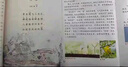 陽(yáng)光同學(xué) 2026春新版 博物課堂四年級下冊 小學(xué)年級閱讀語(yǔ)文統編人教版同步教材輔導書(shū) 課外拓展 曬單實(shí)拍圖
