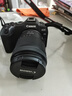 佳能r8 微單相機全畫(huà)幅專(zhuān)微 4K視頻EOSR8專(zhuān)業(yè)微單 R8單機身+24-105 STM單包鏡【標準變焦】 套餐四【拍套四免費升級套餐五 配件升級不加價(jià)】 曬單實(shí)拍圖