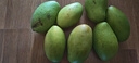 玖原農珍 源頭直采青皮金煌芒果當季現摘優(yōu)選甜心芒果 新鮮水果 含箱5斤凈重4.5斤優(yōu)選級果 曬單實(shí)拍圖