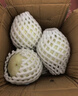 京鮮生海南頭茬玉菇甜瓜 凈重4.5斤+2粒裝 水果源頭直發(fā)包郵 曬單實(shí)拍圖