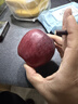 2025年現摘現發(fā)甘肅天水花牛蘋(píng)果新鮮紅蛇果粉面生鮮脆甜多汁A14 帶箱4斤  果徑75mm以上 曬單實(shí)拍圖
