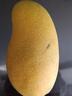 京鮮生 海南金煌芒果 2斤裝 單果約300g 約2-3個(gè) 生鮮水果 曬單實(shí)拍圖