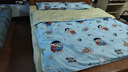 雅鹿學(xué)生宿舍被褥全套+四件套+枕芯+床褥單人雙人寢室家用床上用品 童趣時(shí)光 單人宿舍1.5*2.0m 3斤被芯 床單款 五件套 曬單實(shí)拍圖
