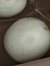京鮮生海南玉菇甜瓜 凈重4.5-5斤2粒裝 水果源頭直發(fā)包郵 曬單實(shí)拍圖