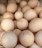 黃天鵝可生食雞蛋 30枚/3.18斤禮盒裝 生鮮雞蛋源頭直發(fā) 送禮 曬單實(shí)拍圖