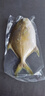 環(huán)球水產(chǎn)南海金鯧魚(yú)凈重2斤/2條生鮮魚(yú)類(lèi)深海魚(yú)海鮮刺少肉多 次日達 曬單實(shí)拍圖