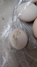 農家散養谷物土雞蛋50±5克/枚 30枚 曬單實(shí)拍圖