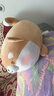 名創(chuàng  )優(yōu)品（MINISO）趣味阿柴-彈力超柔趴姿公仔毛絨玩偶玩具抱枕靠枕娃娃生日禮物女 曬單實(shí)拍圖