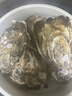 蜀皇乳山生蠔鮮活特大牡蠣海蠣子10斤凈重5XL(16-20只)源頭直發(fā)包 郵  曬單實(shí)拍圖