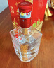 瀘州老窖 六年窖頭曲 濃香型白酒 38度 500ml 單瓶裝 曬單實(shí)拍圖