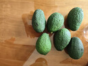 京鮮生 進(jìn)口牛油果6粒裝(非即食)單果重130g起 生鮮水果 曬單實(shí)拍圖